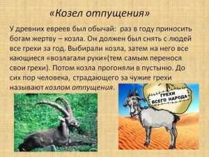 smysl i ispolzovanie vyrazheniya kozel otpuscheniya Смысл и использование выражения козел отпущения в русском языке